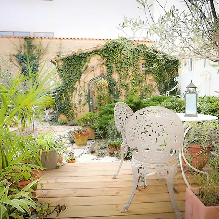 Du Palais Bed and Breakfast Καρκασόν